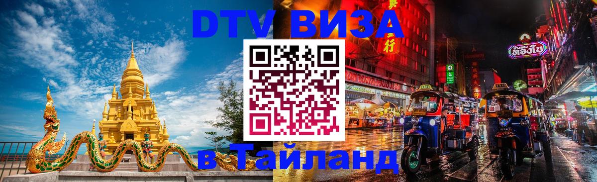 Сколько стоит DTV виза — актуальные цены, оформление даже без документов - София 